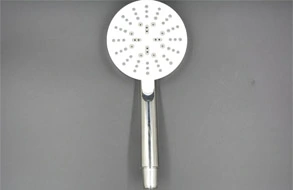 multifunctional shower head