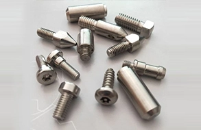 stainless steel bolt3